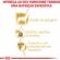 Ração Royal Canin para Cães Adultos da Raça Yorkshire 2,5 kg