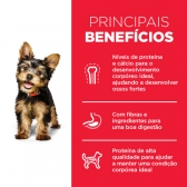 Ração Hills Cães Filhotes Raças Pequenas e mini 800g