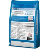 Ração Royal Canin Premium Cat Vitalidade 1 kg