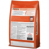 Ração Royal Canin Premium Cat Beleza da Pelagem 1 kg