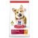 Ração Hills Cães Adultos Pedaços Pequenos 6 kg